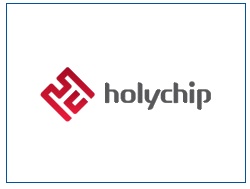 Holychip
