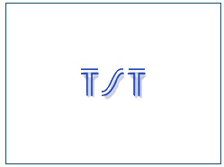 TAI-SAW TECHNOLOGY